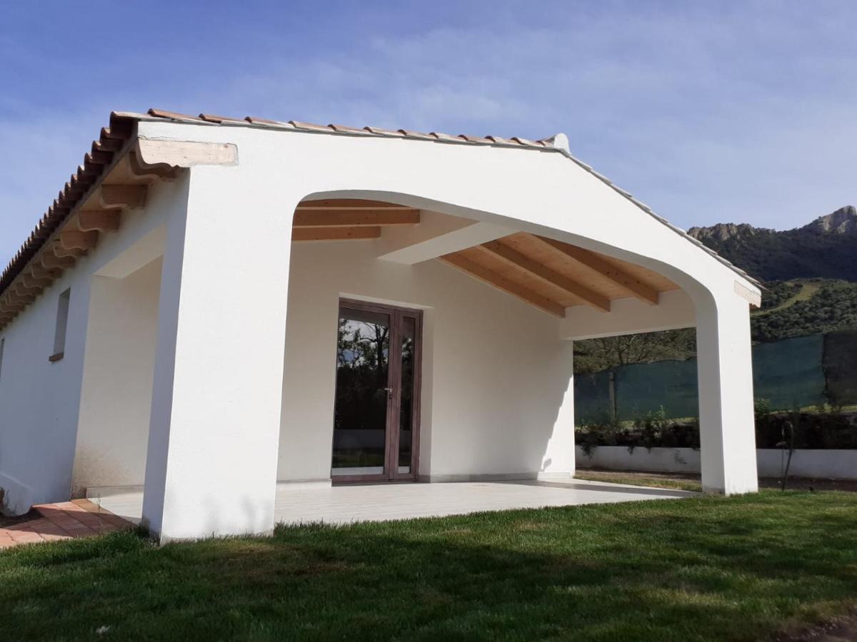 Sardama B&B Affittacamere Torpè Exteriér fotografie