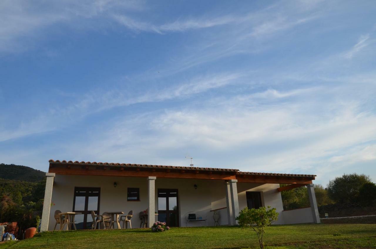 Sardama B&B Affittacamere Torpè Exteriér fotografie