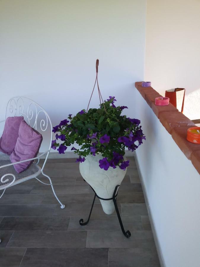 Sardama B&B Affittacamere Torpè Exteriér fotografie