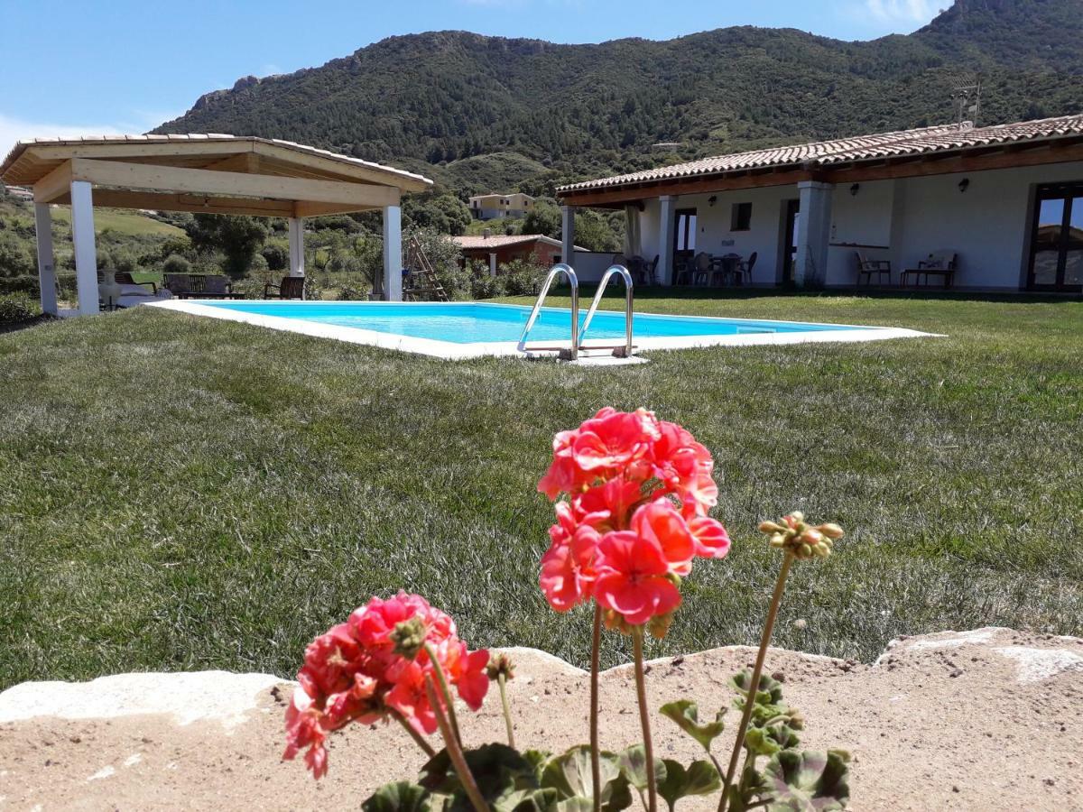 Sardama B&B Affittacamere Torpè Exteriér fotografie